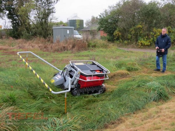 Timan RC 1000 Mähraupe Neu Aktion Böschungsmähgerät 13
